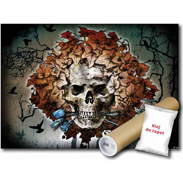 Fototapeta Alchemy Lebka 21A V8 368x254 F2368