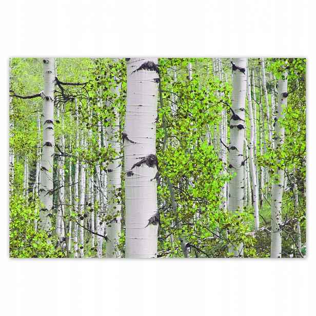 Plakáty 200x135 Jarní zeleň barva Brzóski
