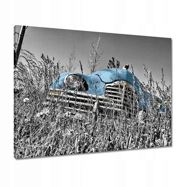 Obrazy 80x60 Světle Modrá Stařec Zabytek