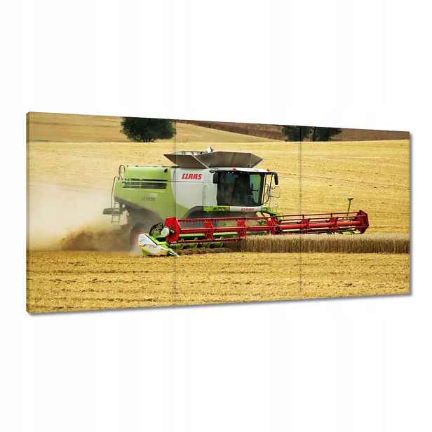 Obrazy 180x90 Kombajn Claas seká Sklizeň