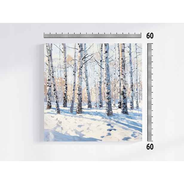 Obraz Na Plátně Plátno Krajina Les Park Stromy Břízy Zima Sníh 60x60