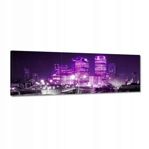 Obrazy 150x50 Fialové mrakodrapy