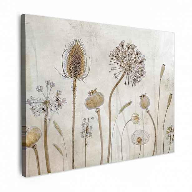 MuchoWow OBRAZ NA PLÁTNĚ Květiny - Akvarel - Zátiší - Hnědá - Vintage 40x30 cm