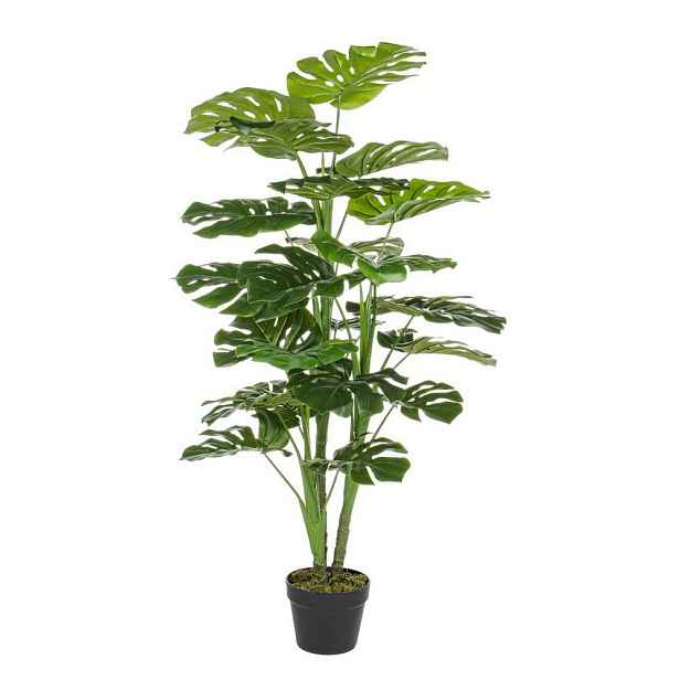 Umělá monstera (výška 120 cm) Philodendron – Bizzotto