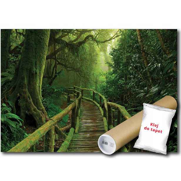 Vinylová fototapeta Les stromy cesta 152x104
