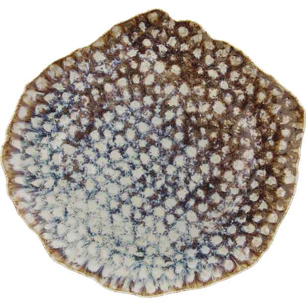 Mělký talíř Tognana Reef Marine, délka: 320 mm, šířka: 300 mm