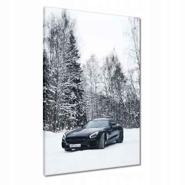 Obrazy 60x90 Černý Mercedes Zima