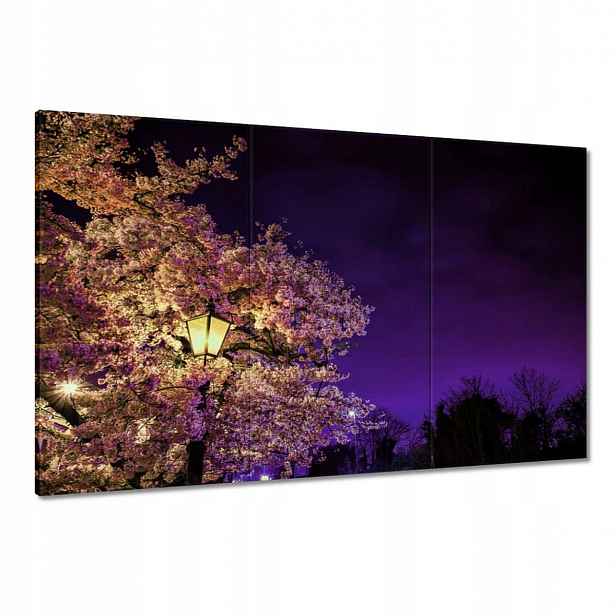 Obrazy 120x80 Noční motiv do obývacího pokoje