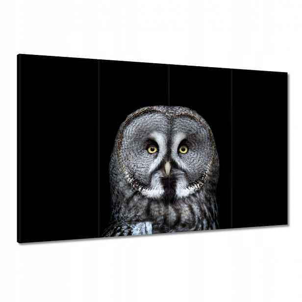 Obrazy 120x80 Velká šedá sovička
