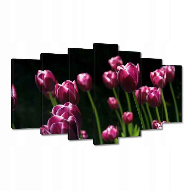 Obrazy 140x80 Fialové tulipány