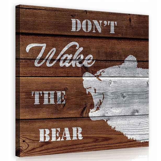 Obraz 80x80 Don't Wake The Bear medvěd sen zima les strom hnědý