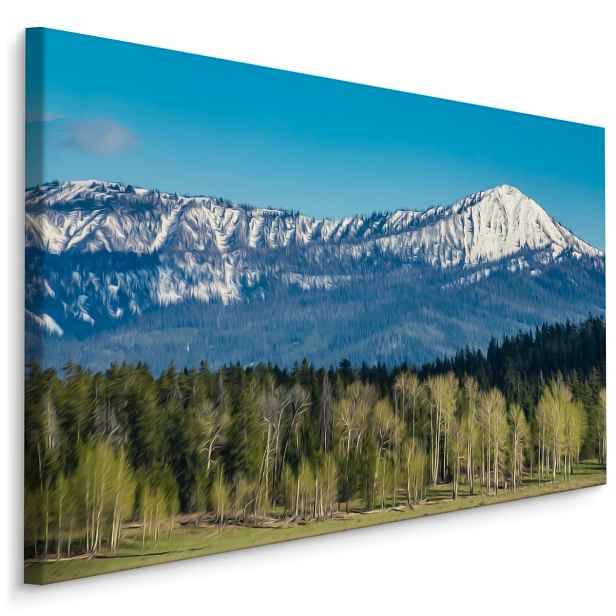 Plátno Národní Park Grand Teton V Usa Varianta: 90x60