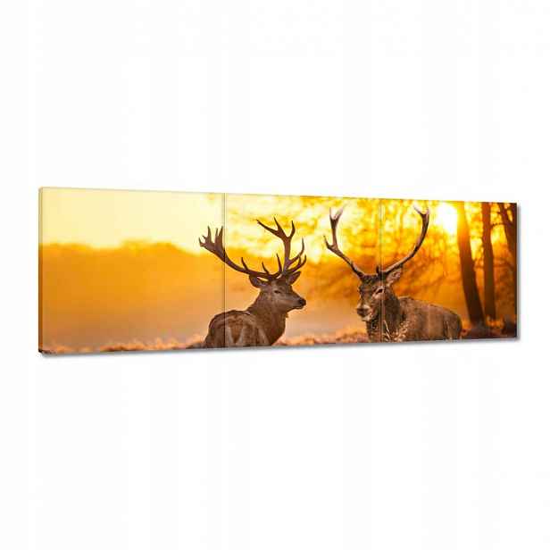 Obrazy 120x40 Jeleni po ránu