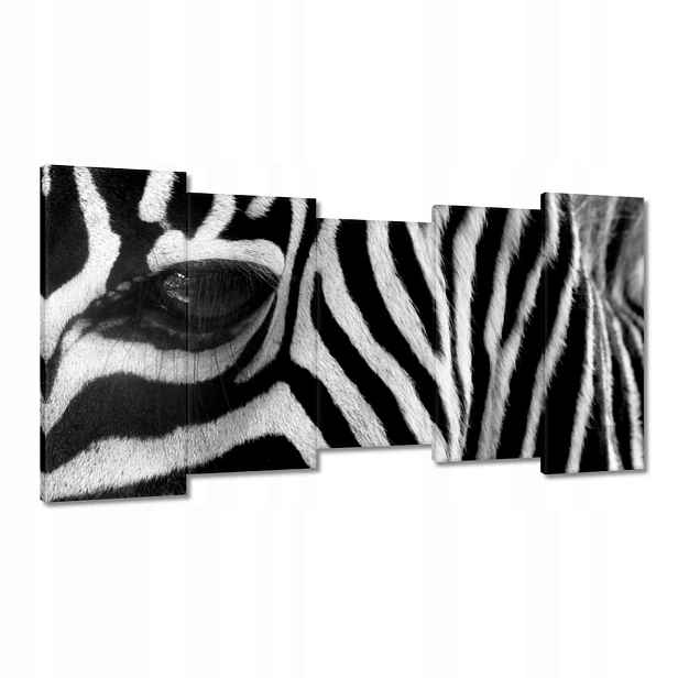 Obrazy 150x80 Černobílé pruhy Zebra