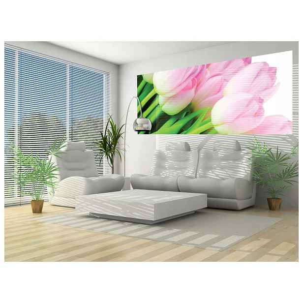 Fototapeta Tulipány Růžový sen v bílém, jarní svěžest 250x104 lepidlo