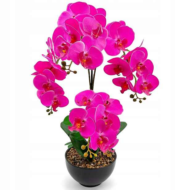 Orchidej V Růžovém Květináči Orchidej – Velká Dekorativní Kompozice