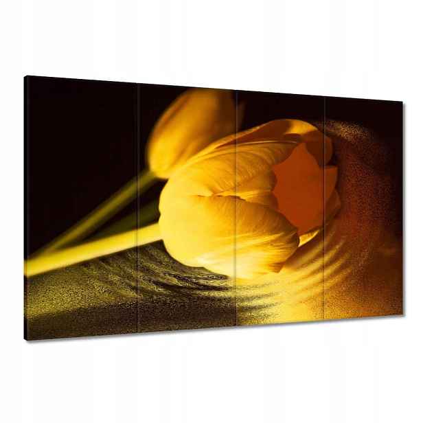 Obrazy 120x80 Žluto-zlatý tulipán