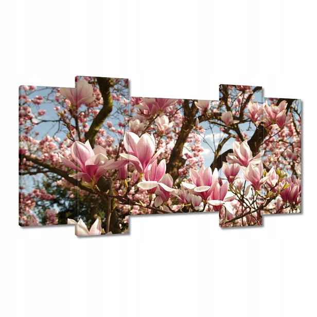 Obrazy 120x65 Magnolie Květiny Světle Modrá