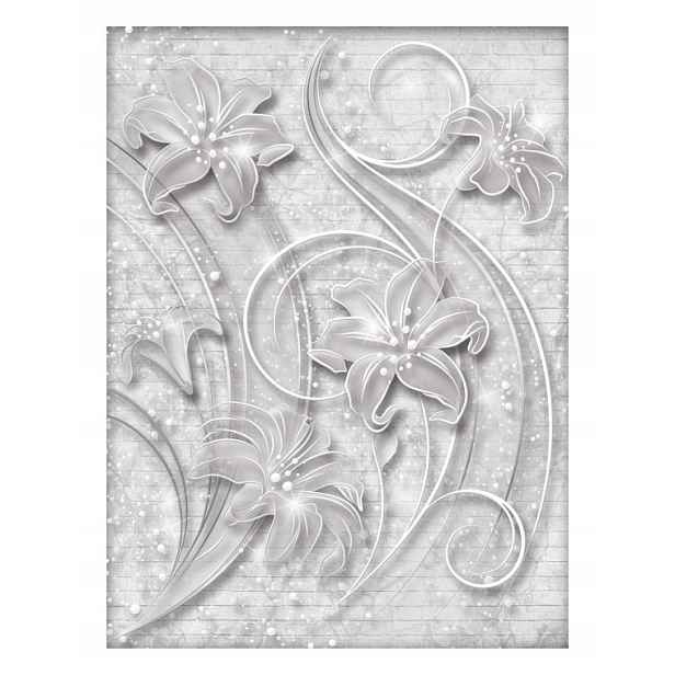 Fototapeta Květiny Abstrakce Šedo-bílá Elegance Textura 206x275 lepidlo