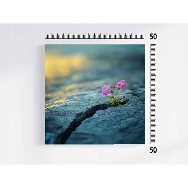 Obraz Na Plátně Canvas Makro Květ Skála Kámen Mezera Příroda 50x50