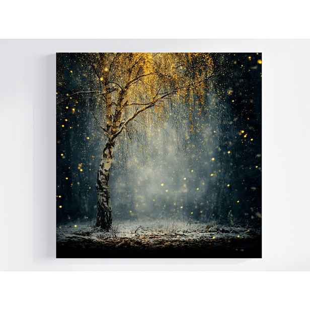 Obraz Na Plátně Plátno Natura Noc Park Strom Bříza Podzim Zima 50x50