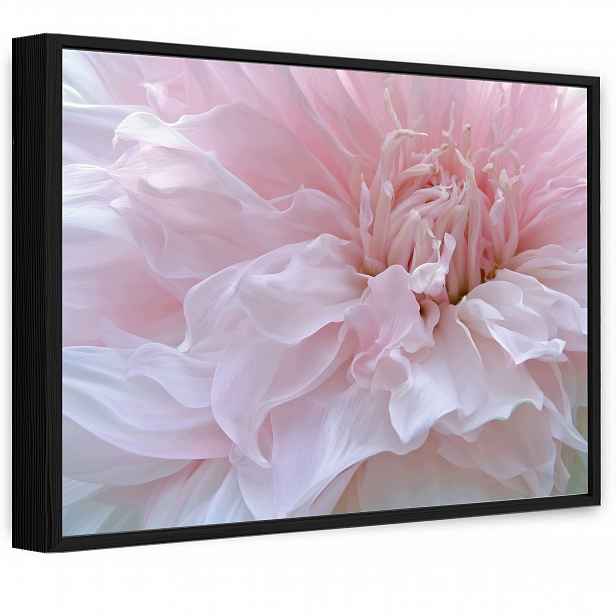 Obraz V Černém Rámu Na Plátně Květ Růžový Velký Obývací Pokoj Ložnice 120x80