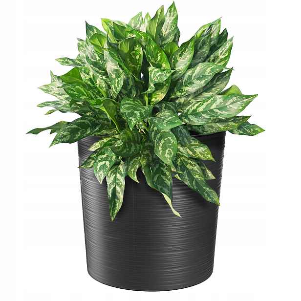 Květináč Květináč 30cm Obal Vložka Do Květináče Plastový Grafit