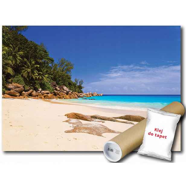 Vinylová fototapeta krajina pláž moře oceán palmy výhled 152x104