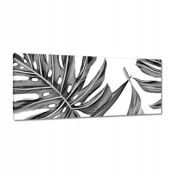Obrazy 100x40 Monstera v šedé barvě