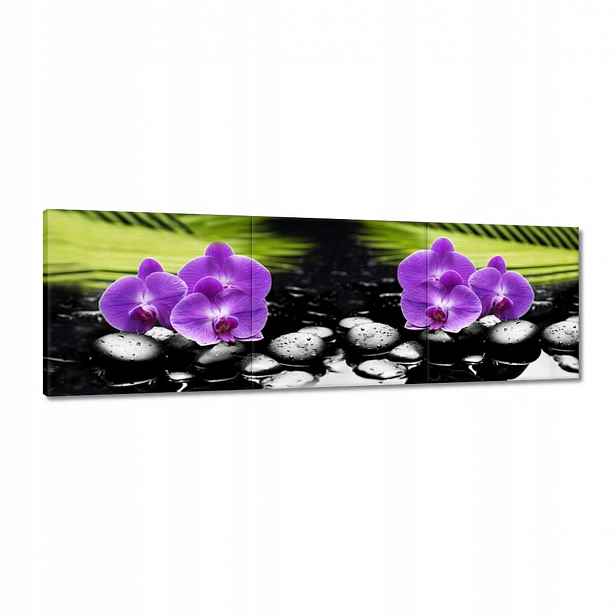 Obrazy 120x40 Orchideje na kamenech