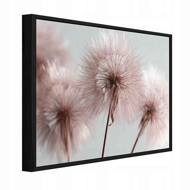 Obraz V Černém Rámu Na Plátně Dmychadla Květiny Obývací Pokoj Ložnice 60x40