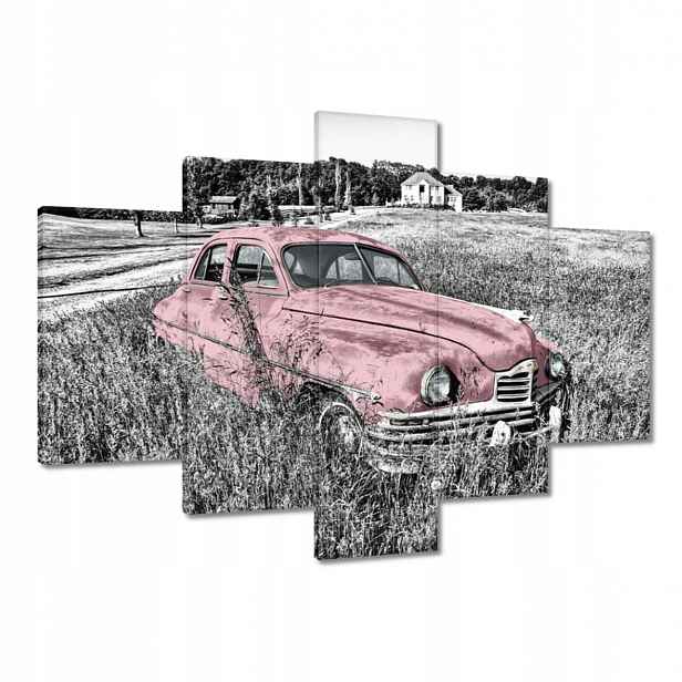 Obrazy 150x105 Růžová babička Historická