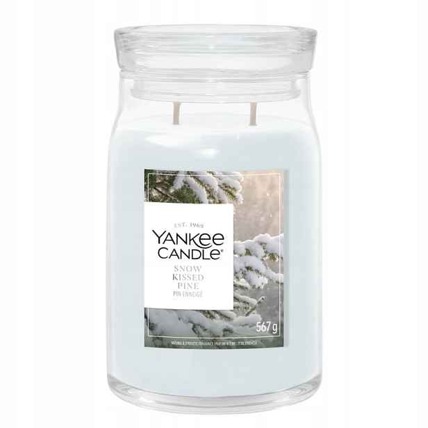 Yankee Candle Svíčka Snow Kissed Pine 567 g