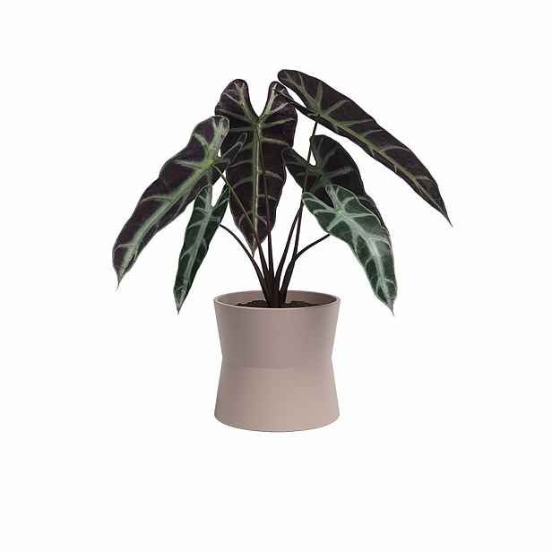 Keramický květináč ø 14 cm Diana – Artevasi