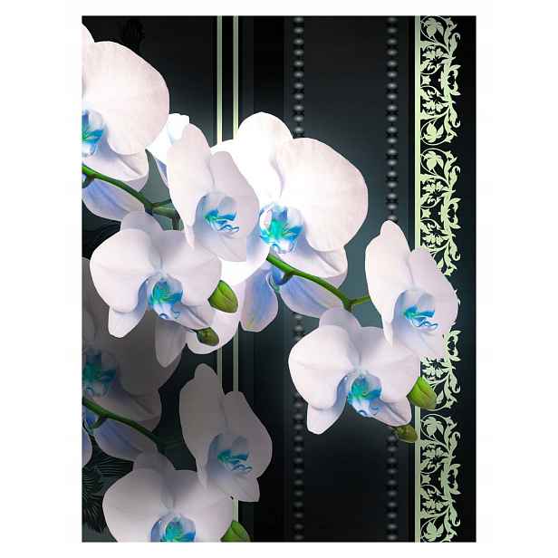 Fototapeta Orchideje bílé květy na modrém pozadí vinylová 184x254 lepidlo
