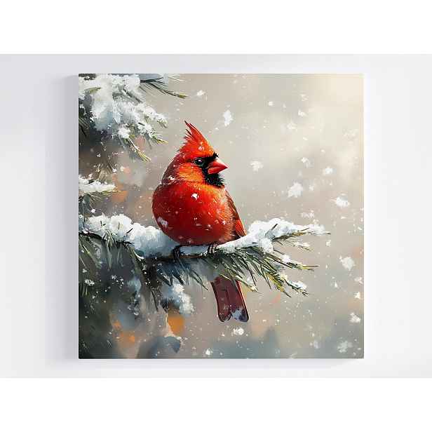 Obraz Na Plátně Canvas Příroda Ptačí Kardinál Zima Sníh 50x50
