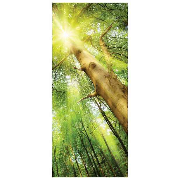 Samolepicí Samolepicí Fototapeta Sluneční les Perspektiva Zeleň 91x211