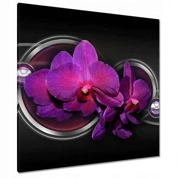 Obrazy 90x90 Fialová orchidej