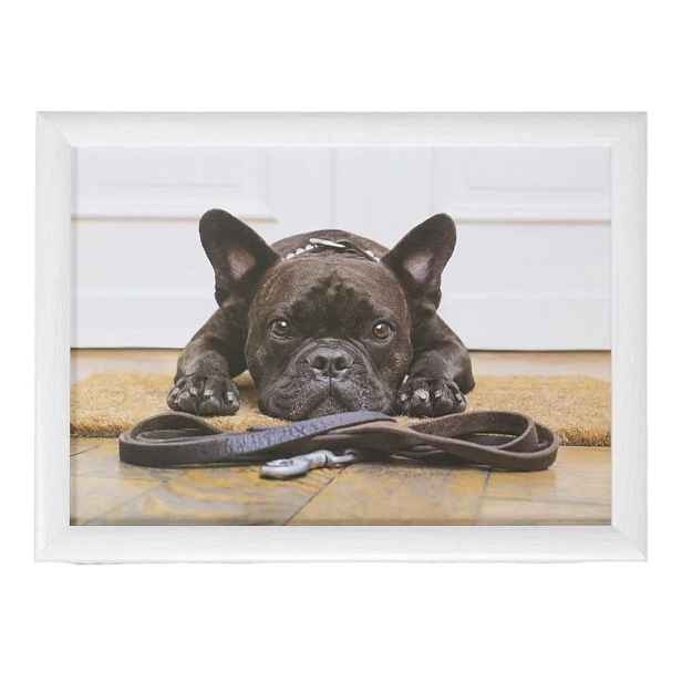 Podnos na nohy s buldočkem French Bulldog humour - 43*33*7cm Mars & More