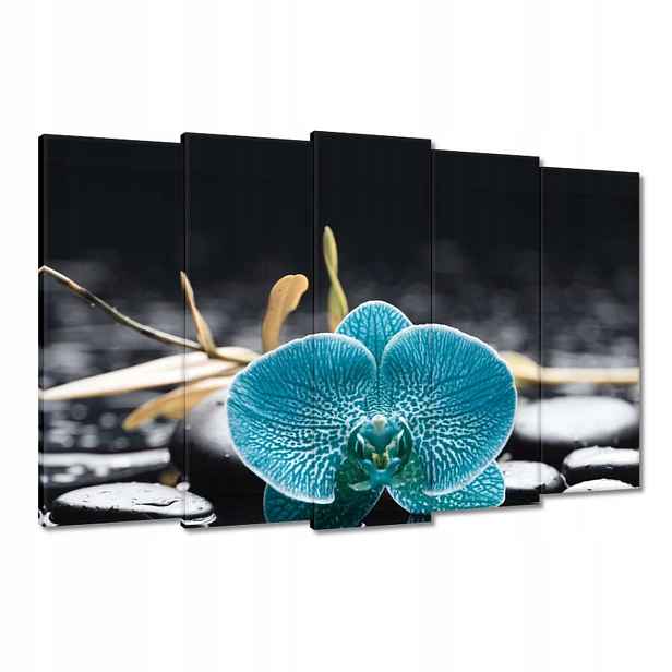 Obrazy 150x95 Tyrkysový orchidej Květina