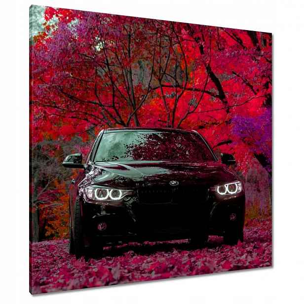 Černé obrazy 90x90 Bmw Podzim
