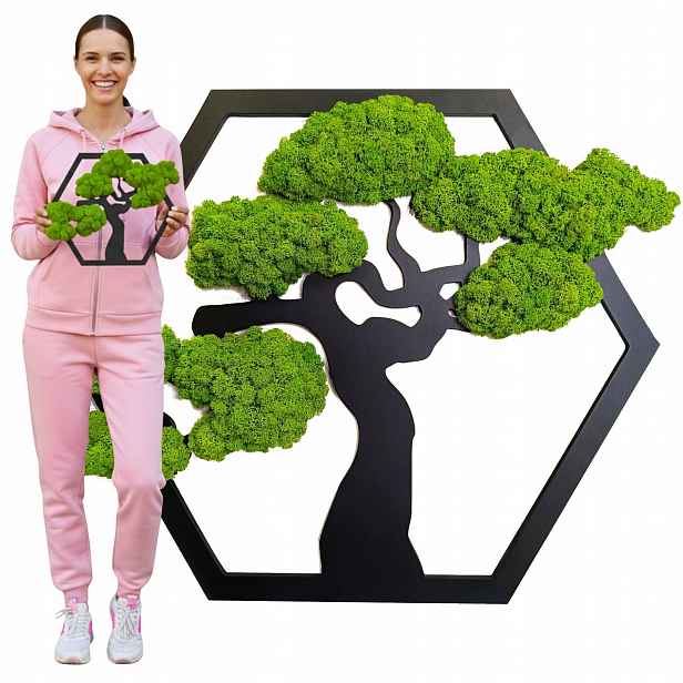 Obraz Z Mechu mech chrobotek Živý Stromek Bonsai na zeď Ozdoba Dekorace