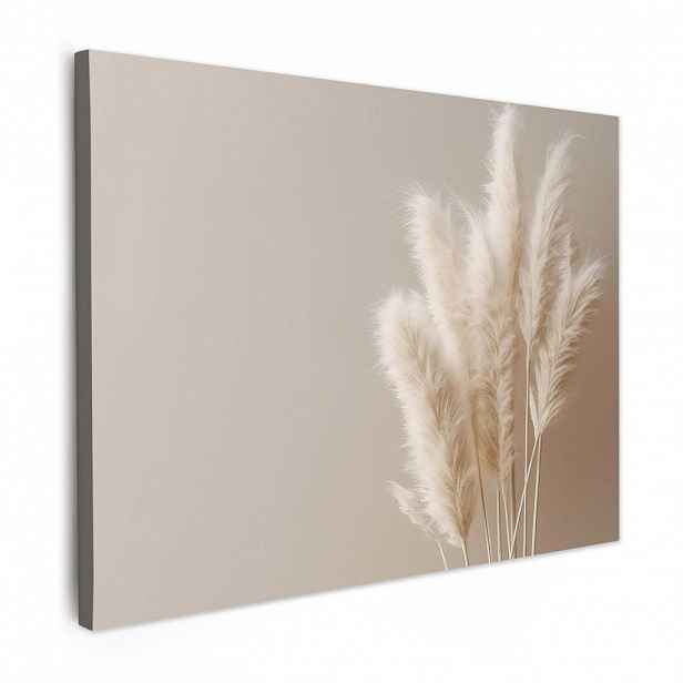 MuchoWow OBRAZ NA PLÁTNĚ Pampová tráva - Plumes - Pastelová - Bílá 40x30 cm