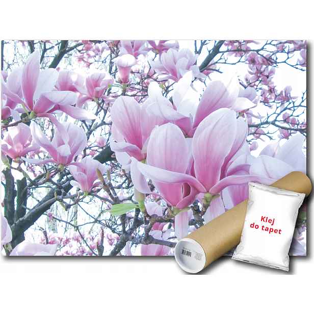 Fototapeta Květy Magnolie 9E Fxl 208x146 F1619