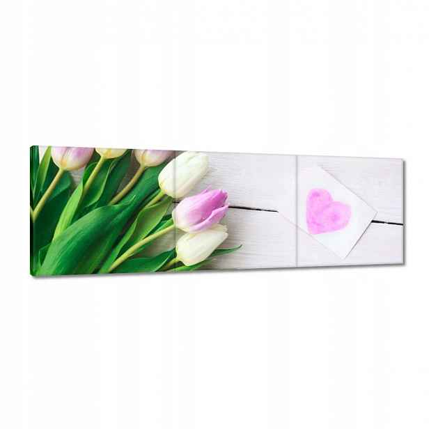 Obrazy 120x40 Jemné tulipány