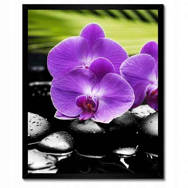 Plakáty v rámu 40x50 Fialové orchideje