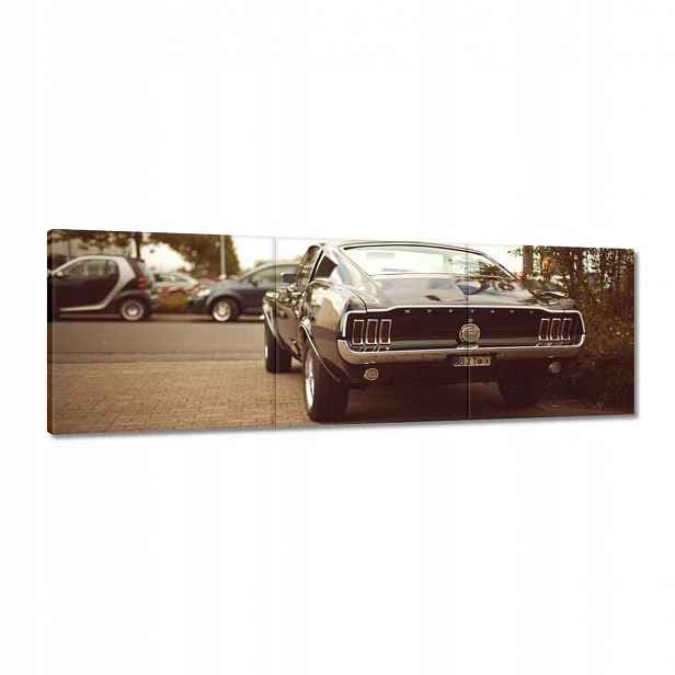Obrazy 150x50 Ford Mustang Černobílý