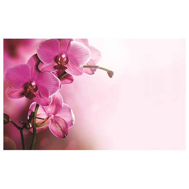 Fototapeta flizelina Růžové orchideje jemný květinový vzor 208x146 lepidlo