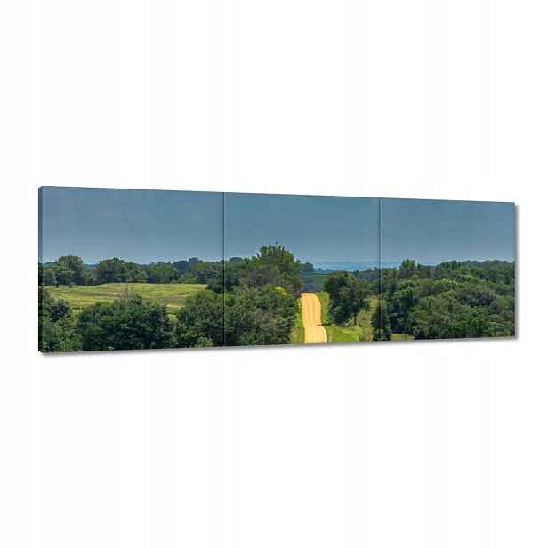 Obrazy 120x40 Cesta Louka Pole Les