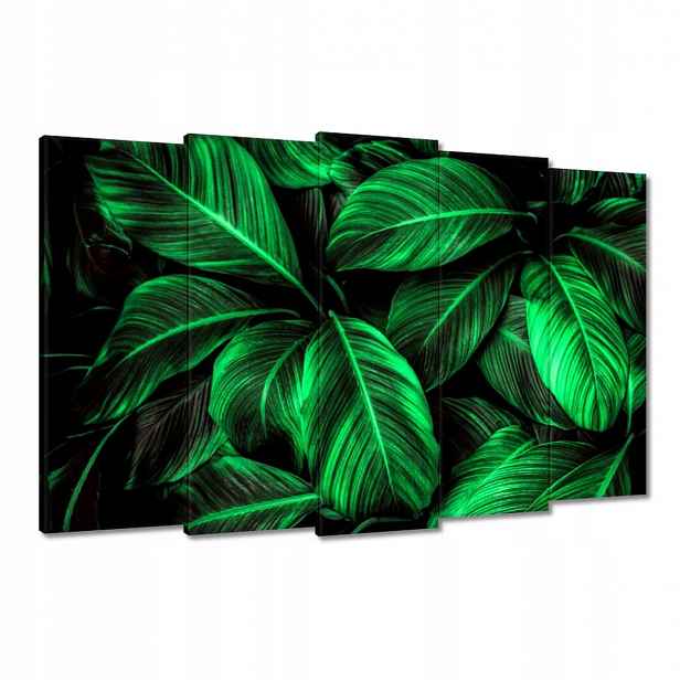 Obrazy 150x95 Zelené listy